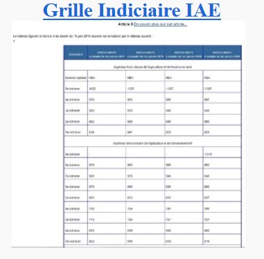 Grilles Indiciaires IAE