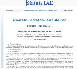 statut IAE 2